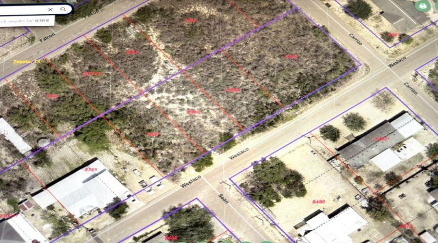 1409 Weslaco Ln, Zapata, Texas 78076, ,Land,For Sale,1409 Weslaco Ln,20255277