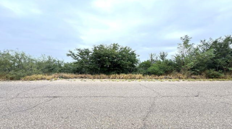 1409 Weslaco Ln, Zapata, Texas 78076, ,Land,For Sale,1409 Weslaco Ln,20255277