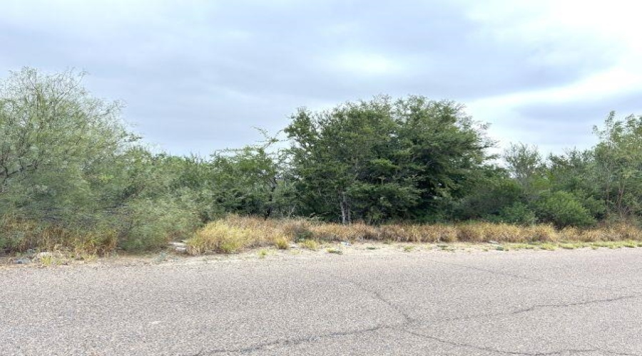 1409 Weslaco Ln, Zapata, Texas 78076, ,Land,For Sale,1409 Weslaco Ln,20255277
