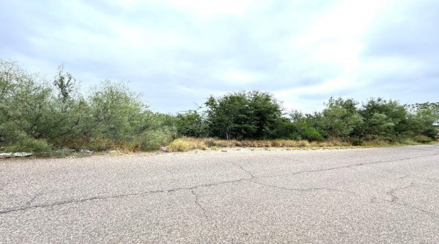 1409 Weslaco Ln, Zapata, Texas 78076, ,Land,For Sale,1409 Weslaco Ln,20255277