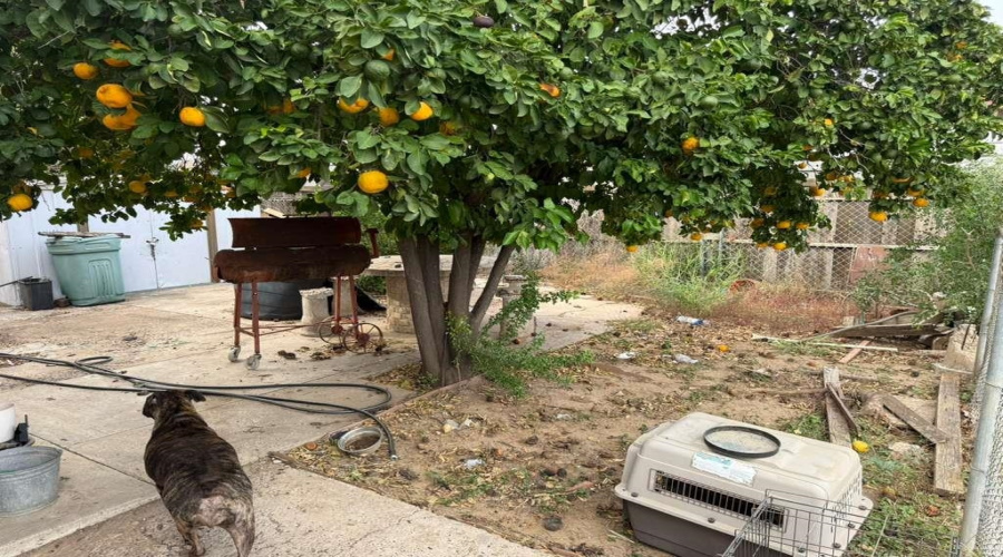 701 W Amiens E Pl, Laredo, Texas 78045, 5 Bedrooms Bedrooms, 6 Rooms Rooms,2 BathroomsBathrooms,Residential,For Sale,701 W Amiens E Pl,20255281