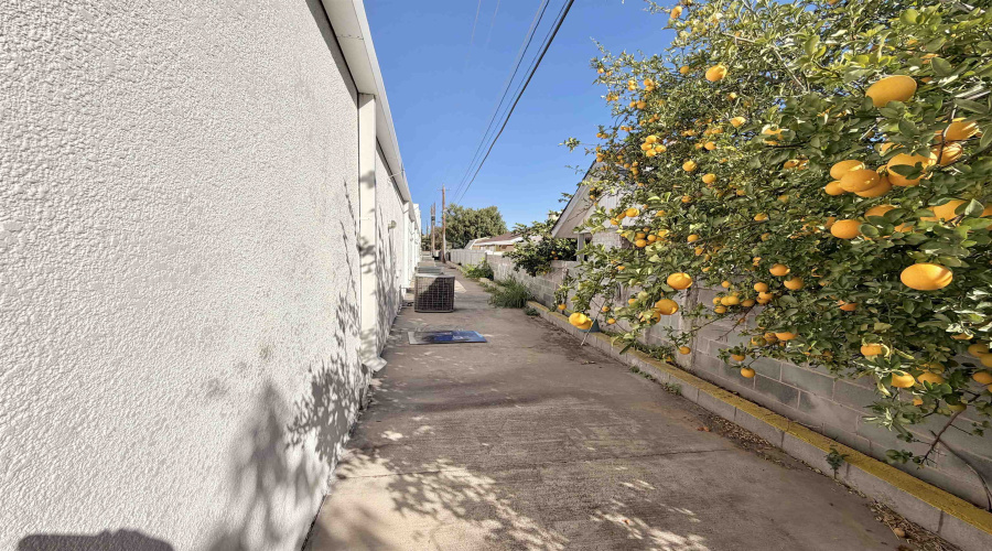 709 Alta Vista Dr, LAREDO, Texas 78045, 6 Rooms Rooms,1 BathroomBathrooms,Commercial retail/office,For Rent,709 Alta Vista Dr,20255306