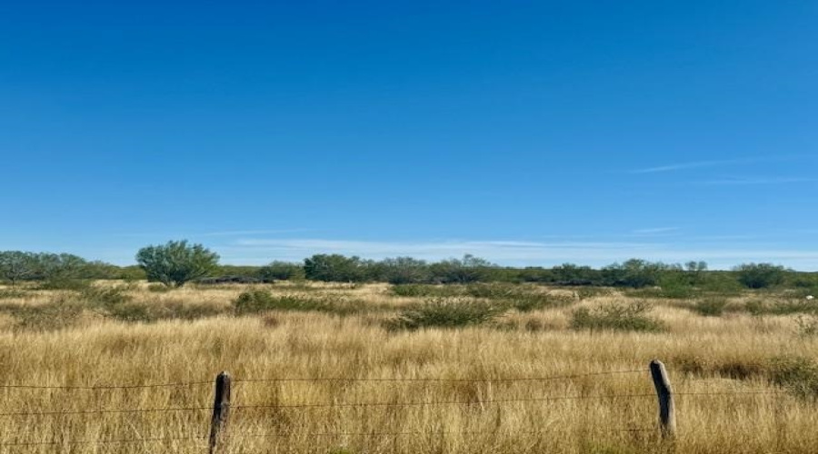 000 ABST 533 SUR 1593, Laredo, Texas 78045, ,Land,For Rent,000 ABST 533 SUR 1593,20255308