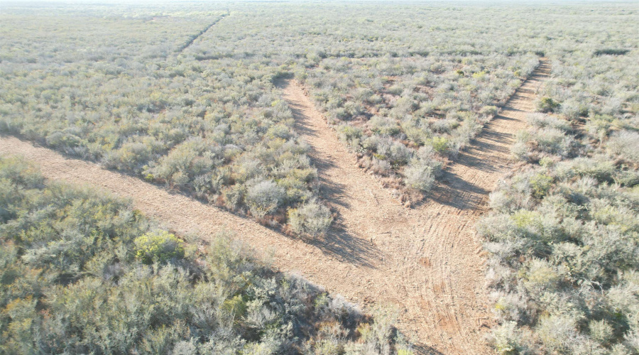 0 FM 716, Realitos, Texas 78376, ,Land,For Sale,0 FM 716,20255318