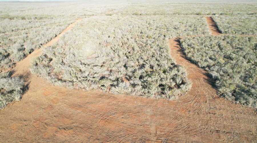 0 FM 716, Realitos, Texas 78376, ,Land,For Sale,0 FM 716,20255318