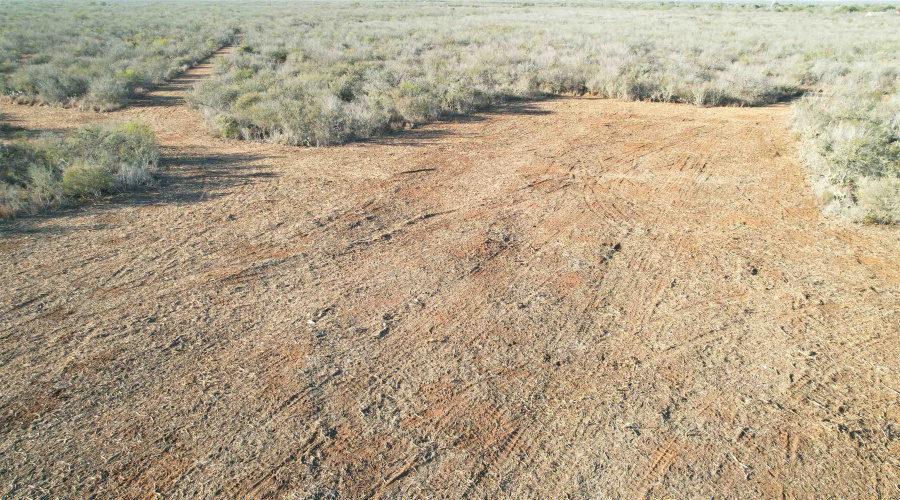 0 FM 716, Realitos, Texas 78376, ,Land,For Sale,0 FM 716,20255318