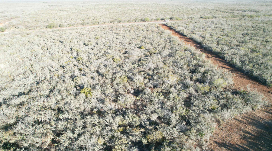 0 FM 716, Realitos, Texas 78376, ,Land,For Sale,0 FM 716,20255318