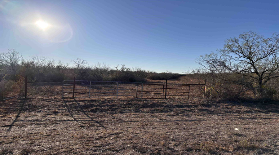 0 FM 716, Realitos, Texas 78376, ,Land,For Sale,0 FM 716,20255318
