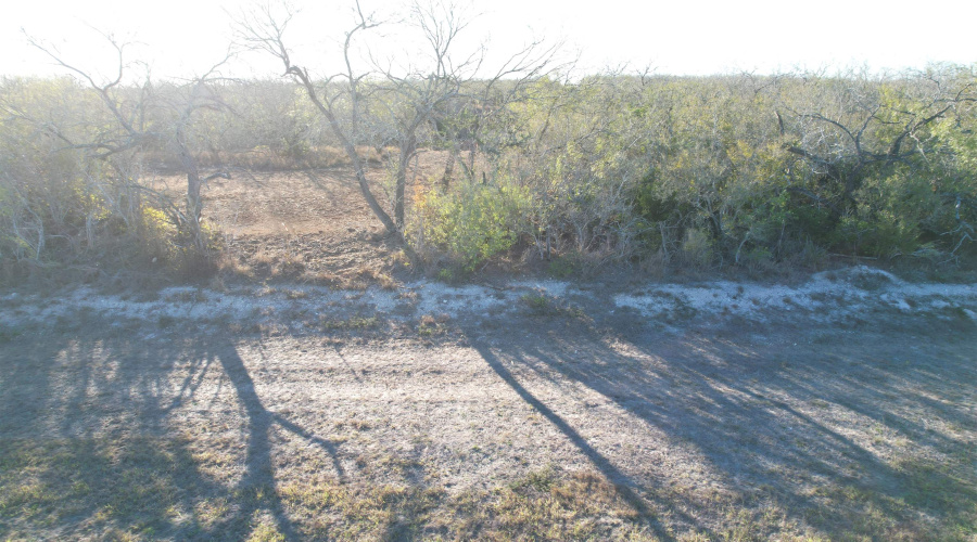 0 FM 716, Realitos, Texas 78376, ,Land,For Sale,0 FM 716,20255318