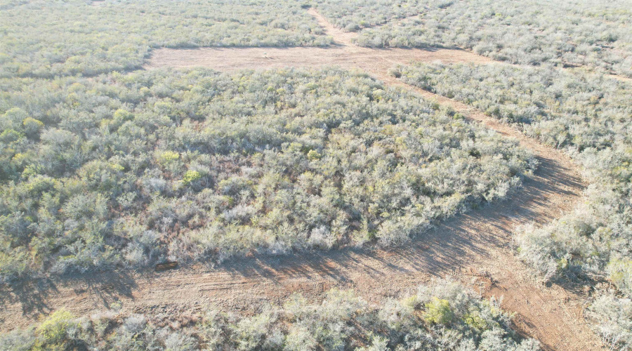 0 FM 716, Realitos, Texas 78376, ,Land,For Sale,0 FM 716,20255318