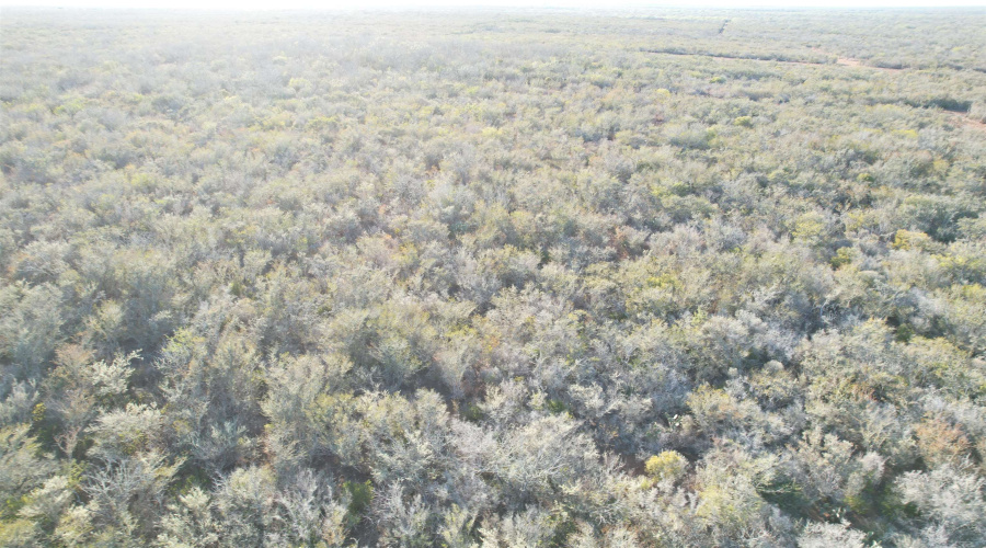 0 FM 716, Realitos, Texas 78376, ,Land,For Sale,0 FM 716,20255318