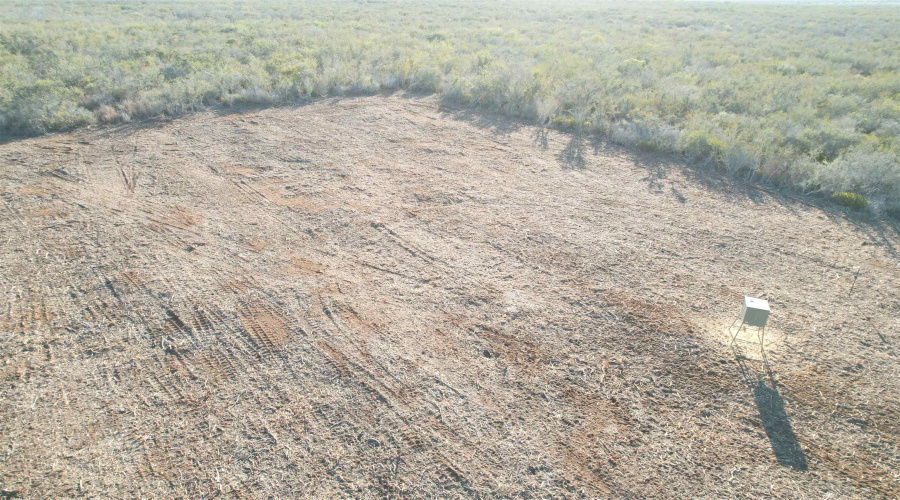 0 FM 716, Realitos, Texas 78376, ,Land,For Sale,0 FM 716,20255318