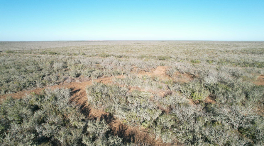 0 FM 716, Realitos, Texas 78376, ,Land,For Sale,0 FM 716,20255320