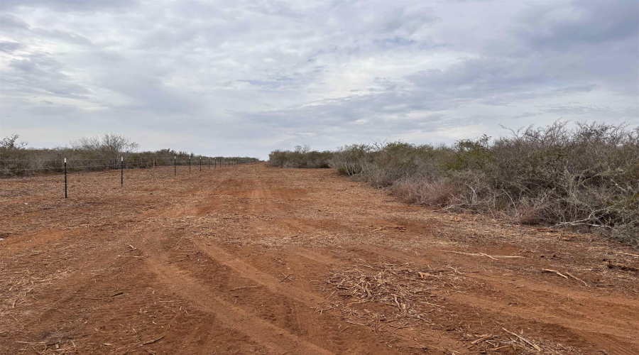 0 FM 716, Realitos, Texas 78376, ,Land,For Sale,0 FM 716,20255320