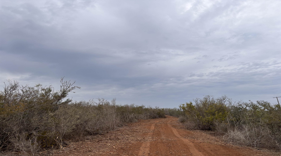 0 FM 716, Realitos, Texas 78376, ,Land,For Sale,0 FM 716,20255320