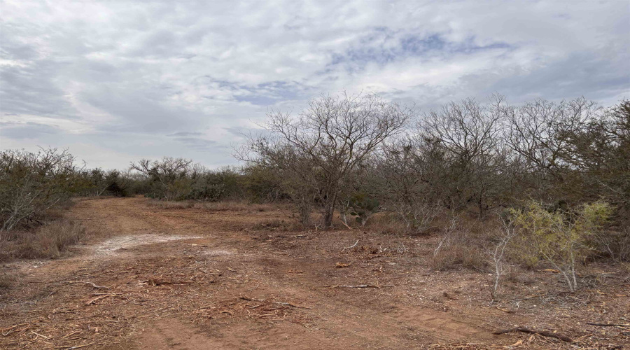 0 FM 716, Realitos, Texas 78376, ,Land,For Sale,0 FM 716,20255320