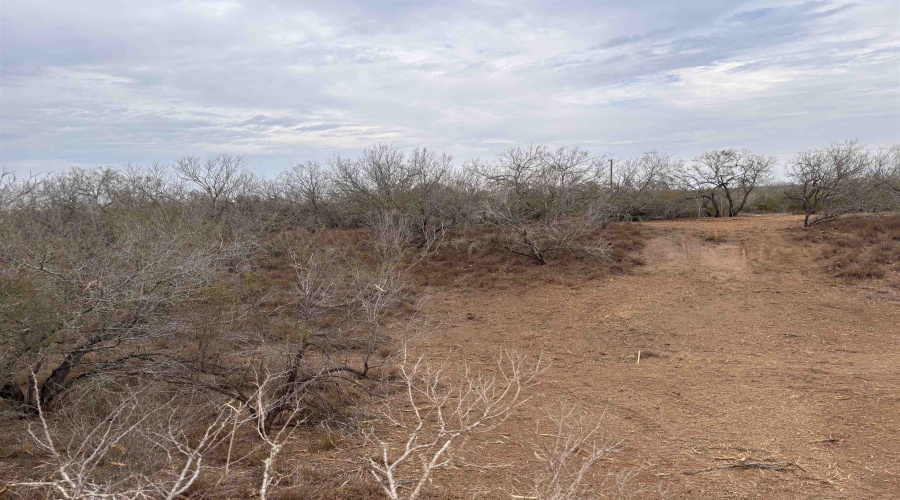 0 FM 716, Realitos, Texas 78376, ,Land,For Sale,0 FM 716,20255320