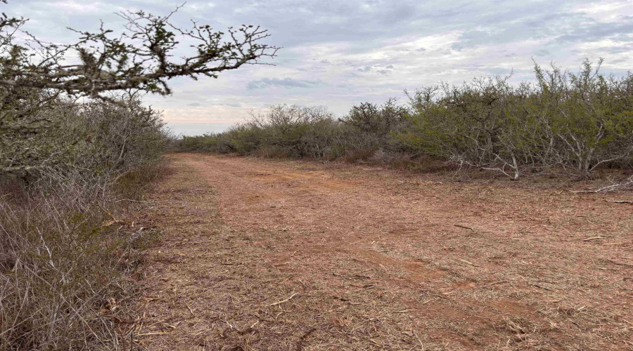 0 FM 716, Realitos, Texas 78376, ,Land,For Sale,0 FM 716,20255320
