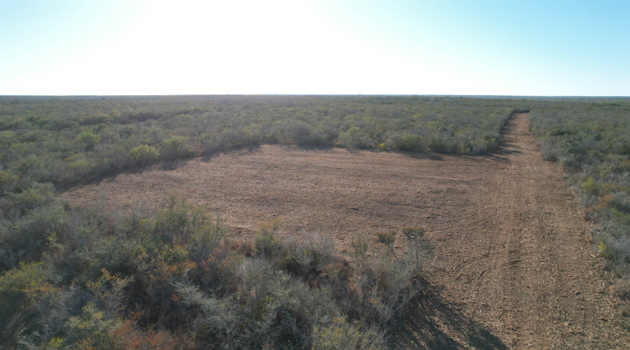 0 FM 716, Realitos, Texas 78376, ,Land,For Sale,0 FM 716,20255320