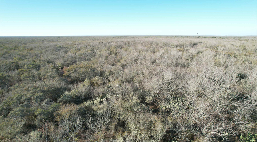 0 FM 716, Realitos, Texas 78376, ,Land,For Sale,0 FM 716,20255320