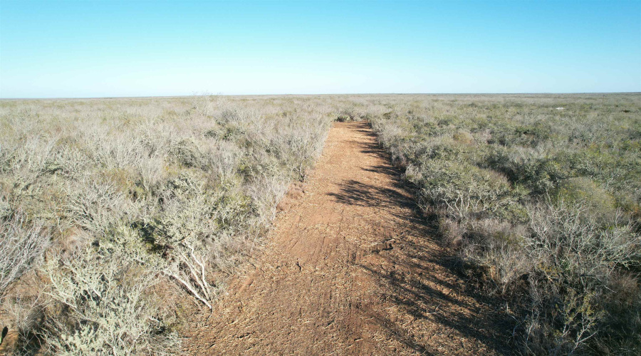 0 FM 716, Realitos, Texas 78376, ,Land,For Sale,0 FM 716,20255320