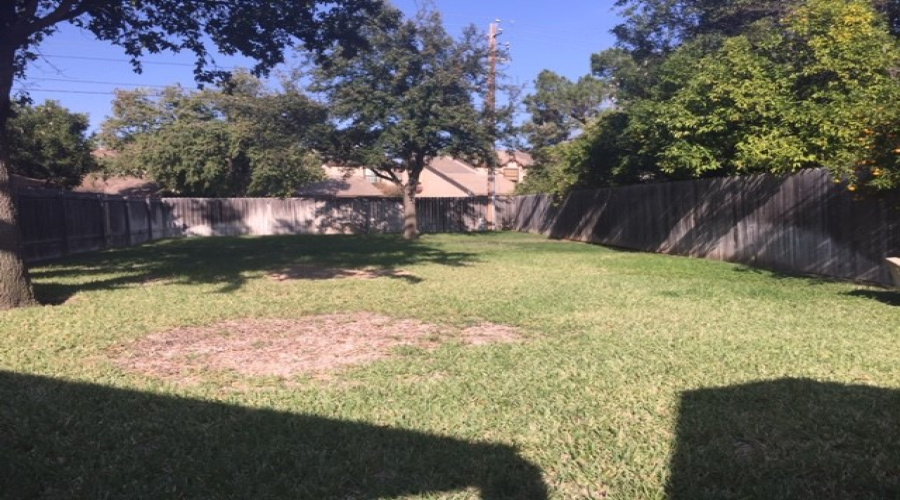 4821 Westside Ln, LAREDO, Texas 78041, 2 Bedrooms Bedrooms, 4 Rooms Rooms,1 BathroomBathrooms,Residential,For Rent,4821 Westside Ln,20255346