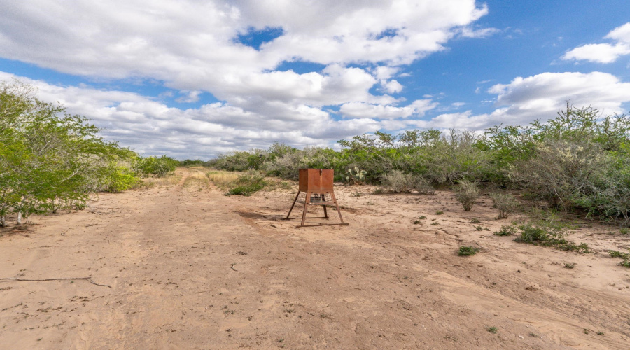 TR 15 Unit 2, FREER, Texas 78357, ,Land,For Sale,TR 15 Unit 2,20255365