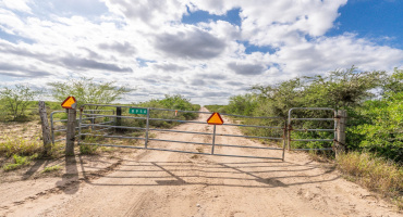 TR 15 Unit 2, FREER, Texas 78357, ,Land,For Sale,TR 15 Unit 2,20255365