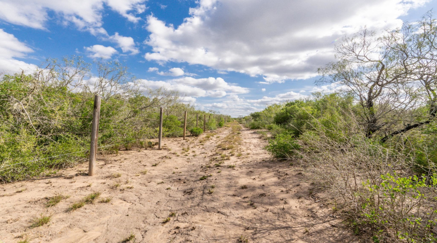TR 15 Unit 2, FREER, Texas 78357, ,Land,For Sale,TR 15 Unit 2,20255365
