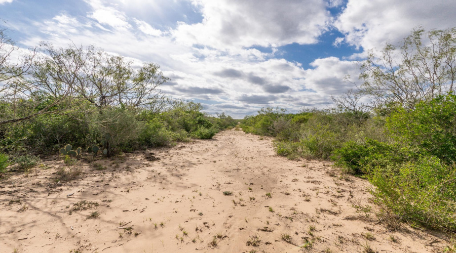 TR 15 Unit 2, FREER, Texas 78357, ,Land,For Sale,TR 15 Unit 2,20255365