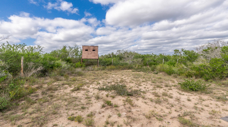 TR 15 Unit 2, FREER, Texas 78357, ,Land,For Sale,TR 15 Unit 2,20255365