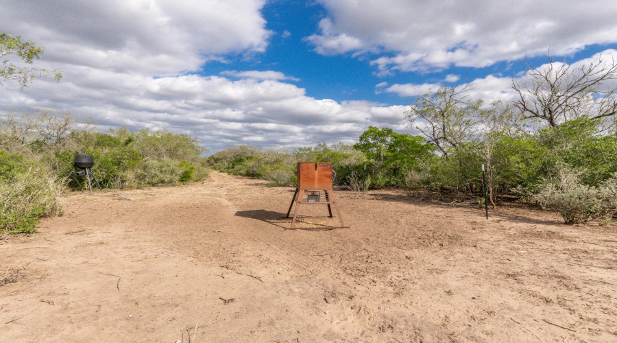 TR 15 Unit 2, FREER, Texas 78357, ,Land,For Sale,TR 15 Unit 2,20255365