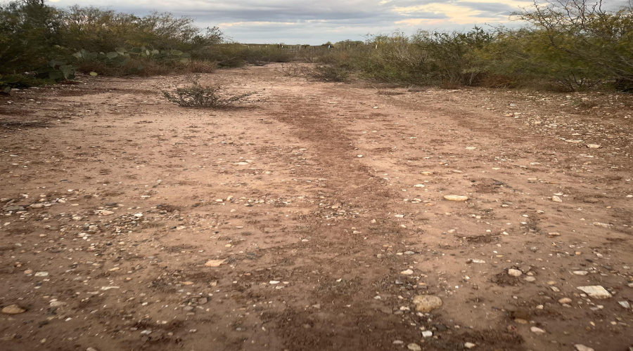 ABST 0546 P 35, LAREDO, Texas 78043, ,Land,For Sale,ABST 0546 P 35,20255515