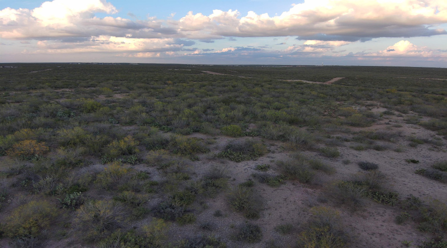 ABST 0546 P 35, LAREDO, Texas 78043, ,Land,For Sale,ABST 0546 P 35,20255515