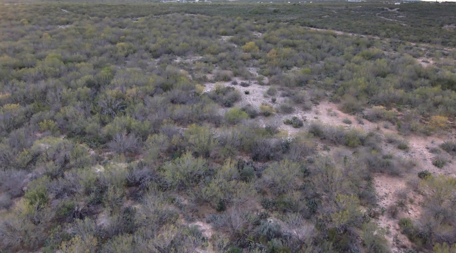 ABST 0546 P 35, LAREDO, Texas 78043, ,Land,For Sale,ABST 0546 P 35,20255515