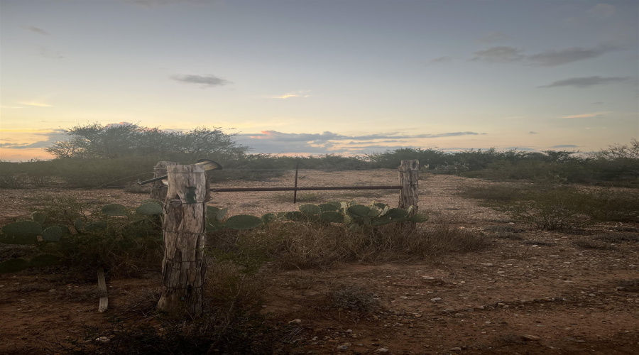 ABST 0546 P 35, LAREDO, Texas 78043, ,Land,For Sale,ABST 0546 P 35,20255515