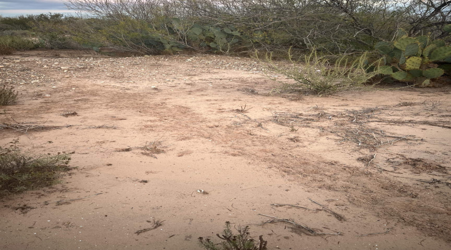 ABST 0546 P 35, LAREDO, Texas 78043, ,Land,For Sale,ABST 0546 P 35,20255515