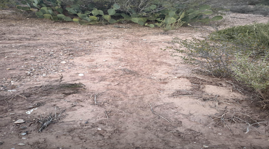 ABST 0546 P 35, LAREDO, Texas 78043, ,Land,For Sale,ABST 0546 P 35,20255515