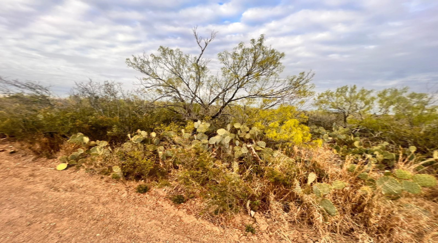 1 Acre Tract 17 Las Pilas Rd., Laredo, Texas 78043, ,Land,For Sale,1 Acre Tract 17 Las Pilas Rd.,20255517