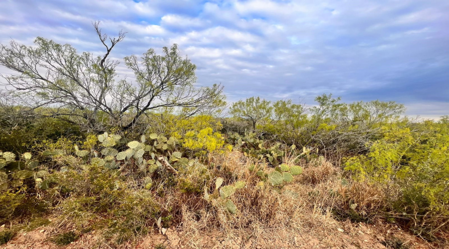 1 Acre Tract 17 Las Pilas Rd., Laredo, Texas 78043, ,Land,For Sale,1 Acre Tract 17 Las Pilas Rd.,20255517