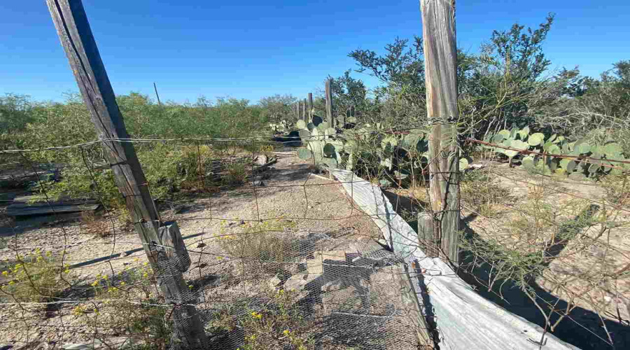 ABST 2156 SUR Las Pilas Rd., Laredo, Texas 78043, ,Land,For Sale,ABST 2156 SUR Las Pilas Rd.,20255518