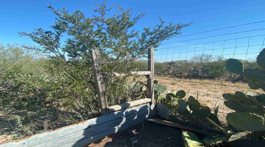 ABST 2156 SUR Las Pilas Rd., Laredo, Texas 78043, ,Land,For Sale,ABST 2156 SUR Las Pilas Rd.,20255518