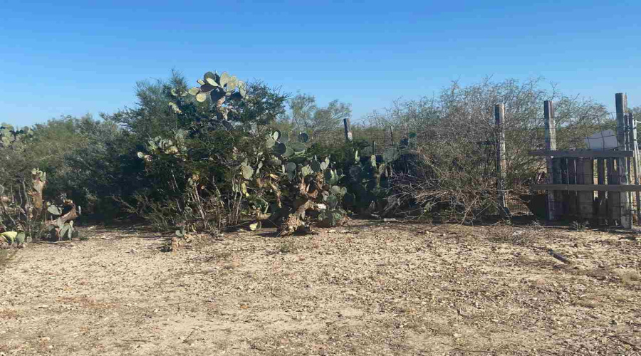 ABST 2156 SUR Las Pilas Rd., Laredo, Texas 78043, ,Land,For Sale,ABST 2156 SUR Las Pilas Rd.,20255518
