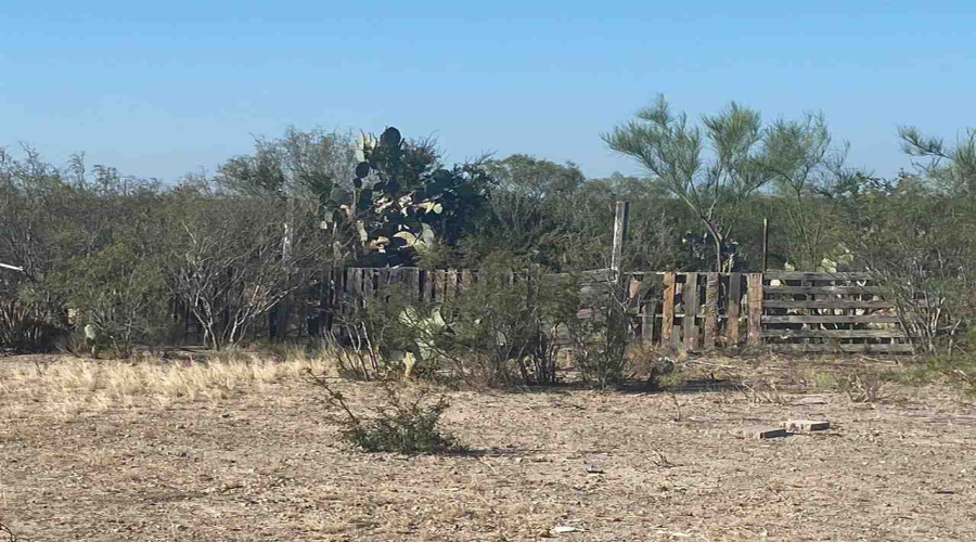 ABST 2156 SUR Las Pilas Rd., Laredo, Texas 78043, ,Land,For Sale,ABST 2156 SUR Las Pilas Rd.,20255518