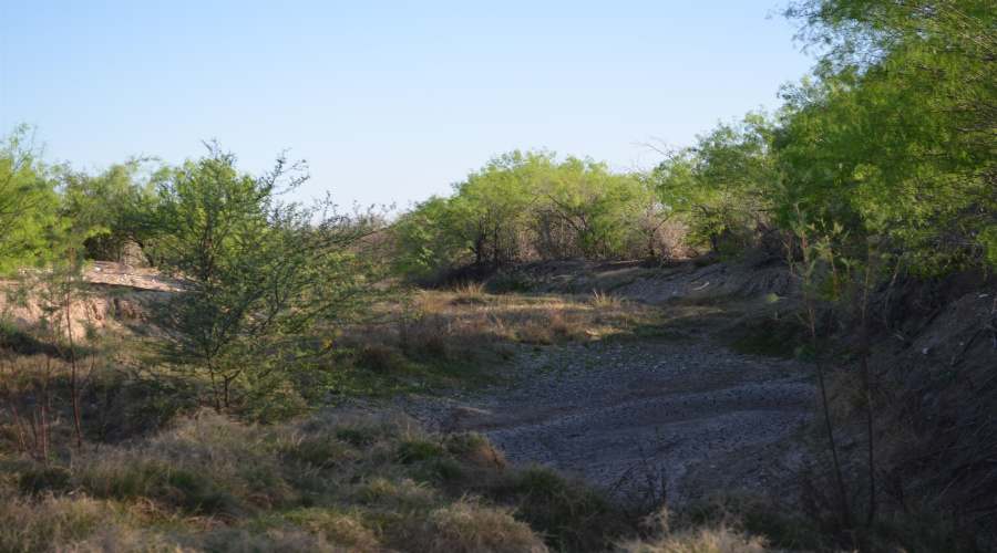 2397 Ranch Road 6092E, Laredo, Texas 78046, ,Land,For Sale,2397 Ranch Road 6092E,20255530