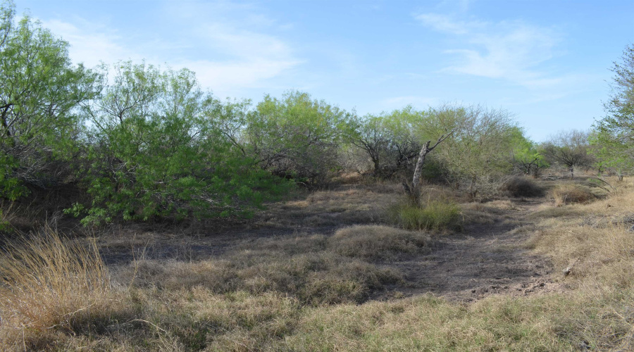 2397 Ranch Road 6092E, Laredo, Texas 78046, ,Land,For Sale,2397 Ranch Road 6092E,20255530