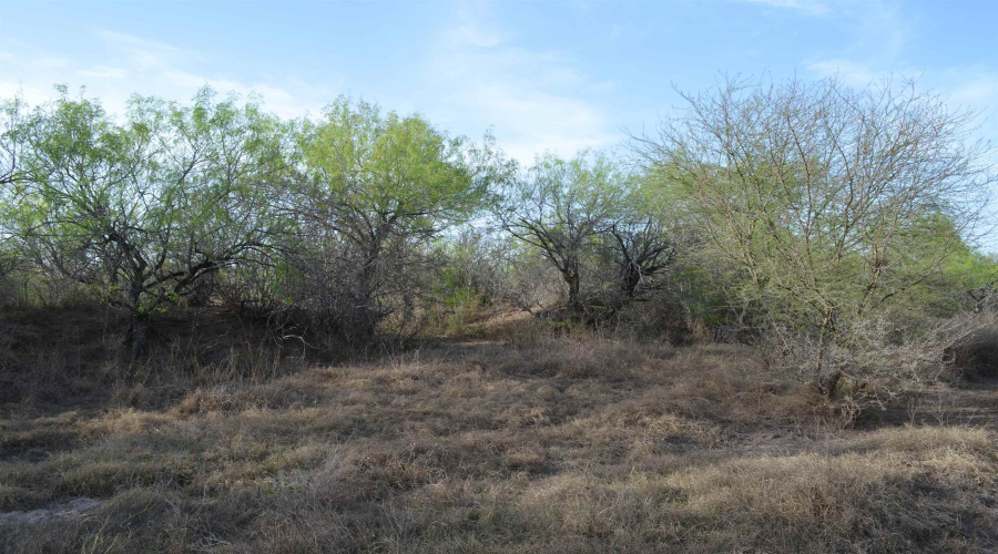 2397 Ranch Road 6092E, Laredo, Texas 78046, ,Land,For Sale,2397 Ranch Road 6092E,20255530