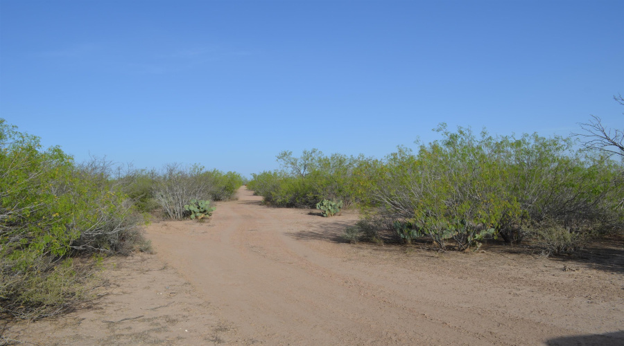 2397 Ranch Road 6092E, Laredo, Texas 78046, ,Land,For Sale,2397 Ranch Road 6092E,20255530