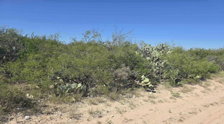 ABST 1293 SUR 1739, Laredo, Texas 78046, ,Land,For Sale,ABST 1293 SUR 1739,20255551