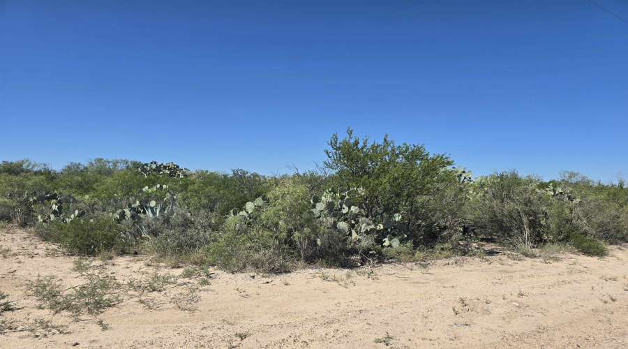 ABST 1293 SUR 1739, Laredo, Texas 78046, ,Land,For Sale,ABST 1293 SUR 1739,20255551